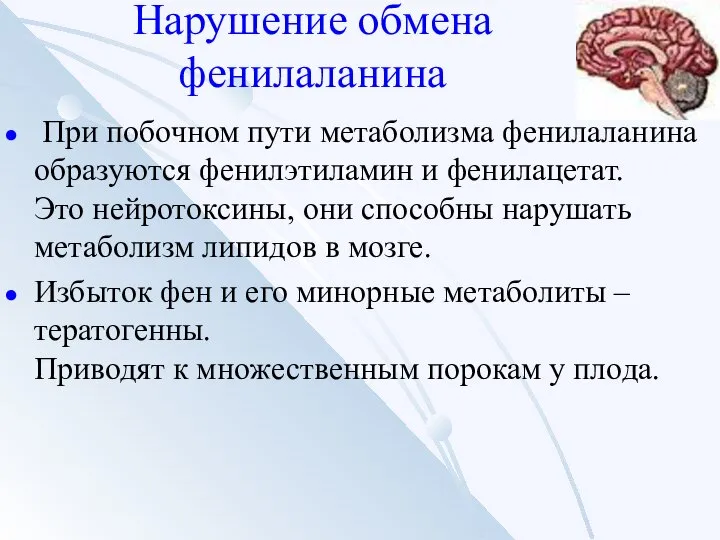 Нарушение обмена фенилаланина При побочном пути метаболизма фенилаланина образуются фенилэтиламин и