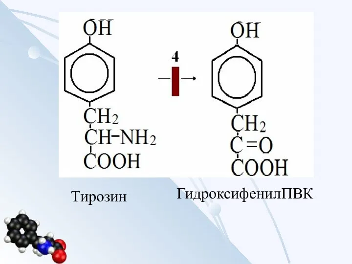 ГидроксифенилПВК Тирозин