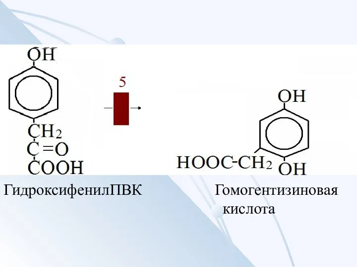 ГидроксифенилПВК Гомогентизиновая кислота