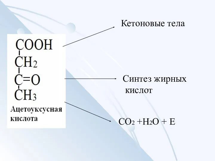 Синтез жирных кислот СО2 +Н2О + Е Кетоновые тела