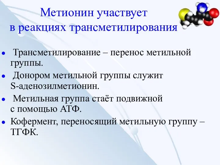 Метионин участвует в реакциях трансметилирования Трансметилирование – перенос метильной группы. Донором