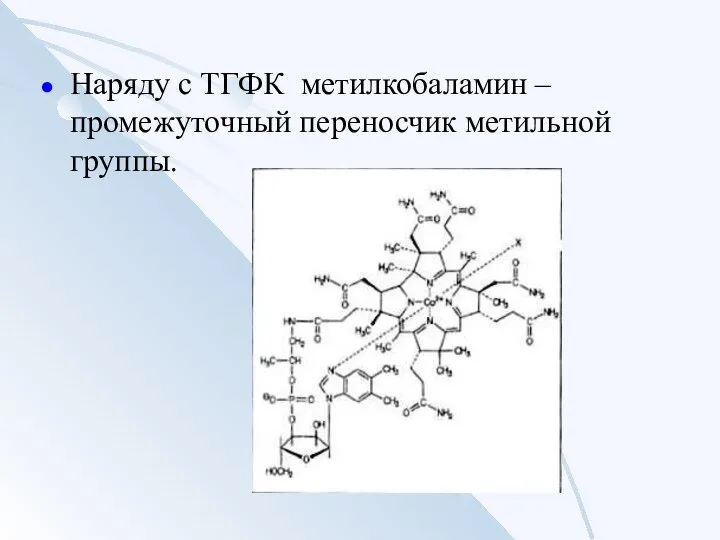 Наряду с ТГФК метилкобаламин – промежуточный переносчик метильной группы.