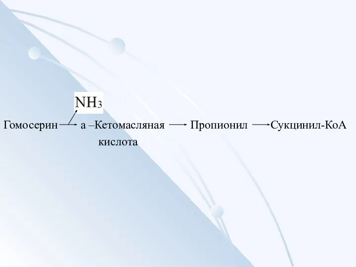 Гомосерин a –Кетомасляная кислота Пропионил Сукцинил-КоА