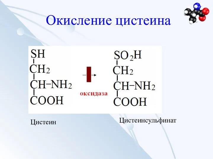 Окисление цистеина Цистеин Цистеинсульфинат