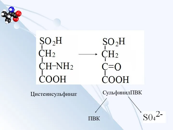 Цистеинсульфинат СульфинилПВК ПВК