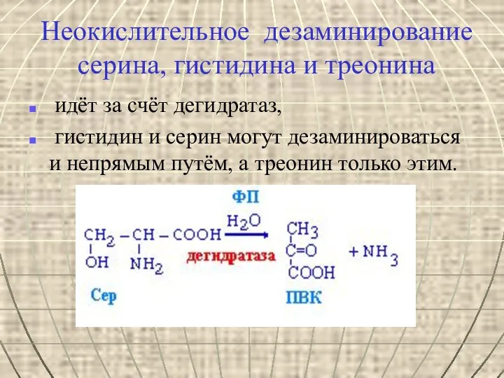 идёт за счёт дегидратаз, гистидин и серин могут дезаминироваться и непрямым