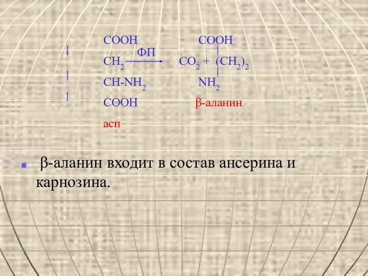 β-аланин входит в состав ансерина и карнозина. СООН COOH СН2 CO2