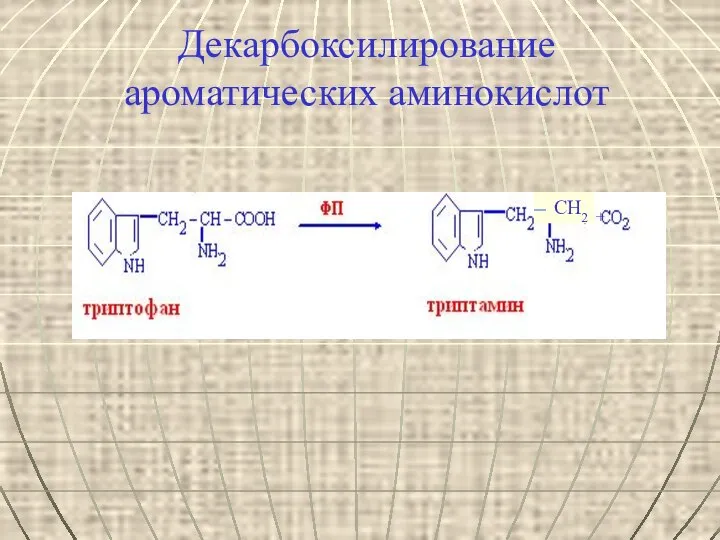 Декарбоксилирование ароматических аминокислот СН2 +