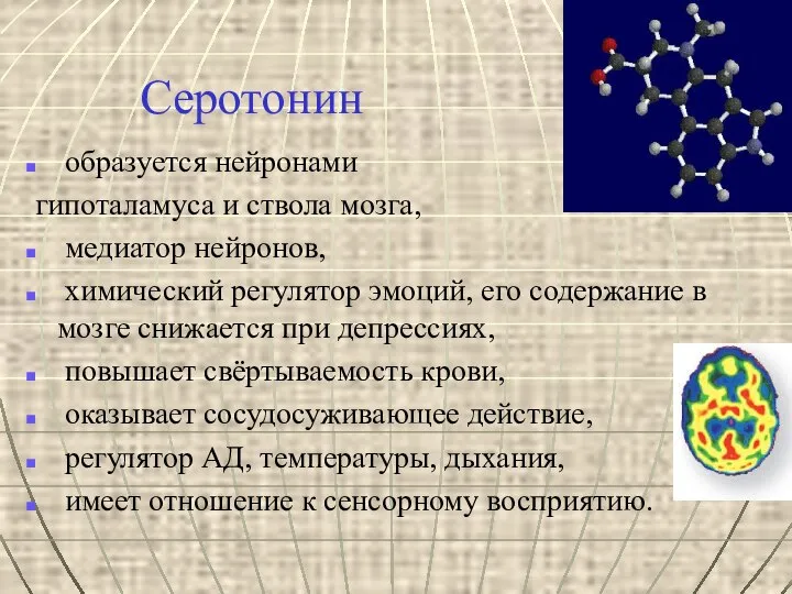 Серотонин образуется нейронами гипоталамуса и ствола мозга, медиатор нейронов, химический регулятор