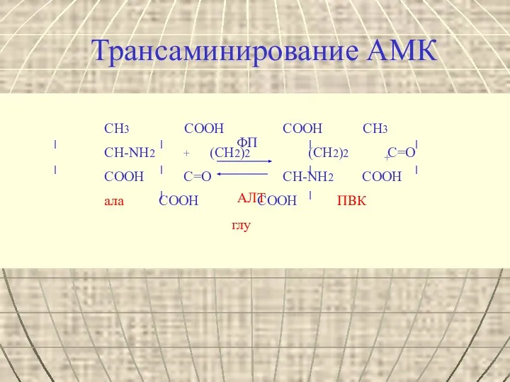 Трансаминирование АМК СН3 СООН COOH CH3 СН-NH2 + (CH2)2 (CH2)2 C=O