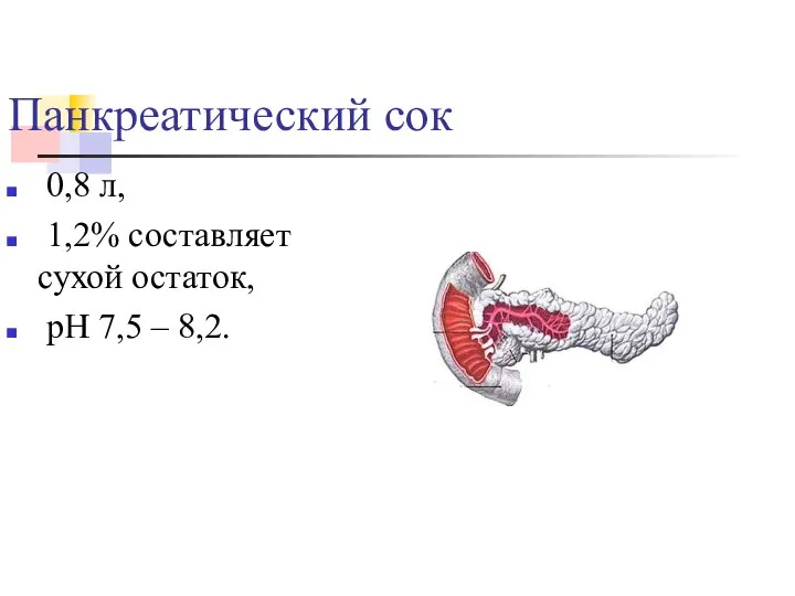 Панкреатический сок 0,8 л, 1,2% составляет сухой остаток, рН 7,5 – 8,2.