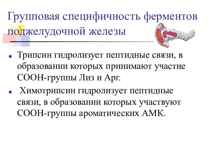 Групповая специфичность ферментов поджелудочной железы Трипсин гидролизует пептидные связи, в образовании