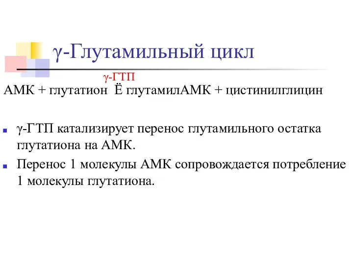 γ-Глутамильный цикл АМК + глутатион Ё глутамилАМК + цистинилглицин γ-ГТП катализирует