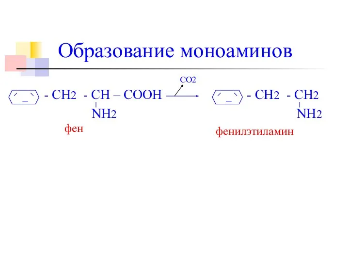 Образование моноаминов - CH2 - СН – СООН - CH2 -