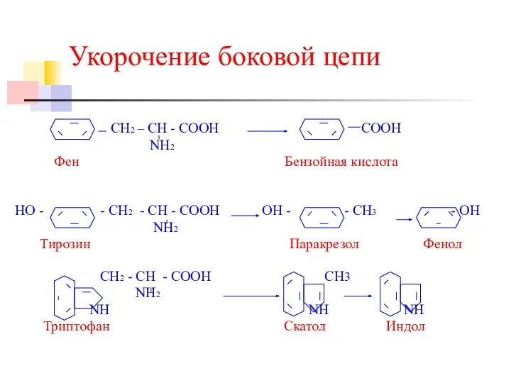 Укорочение боковой цепи СН2 – СН - СООН СООН NH2 Фен