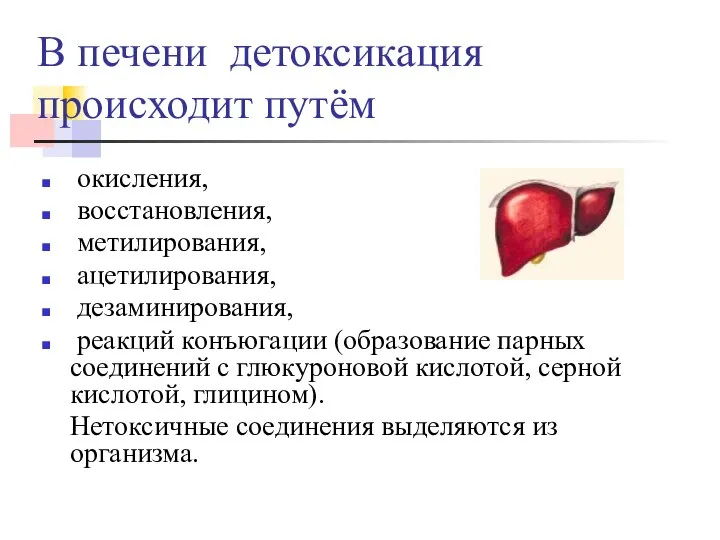 В печени детоксикация происходит путём окисления, восстановления, метилирования, ацетилирования, дезаминирования, реакций