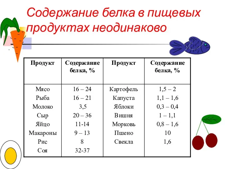 Содержание белка в пищевых продуктах неодинаково .