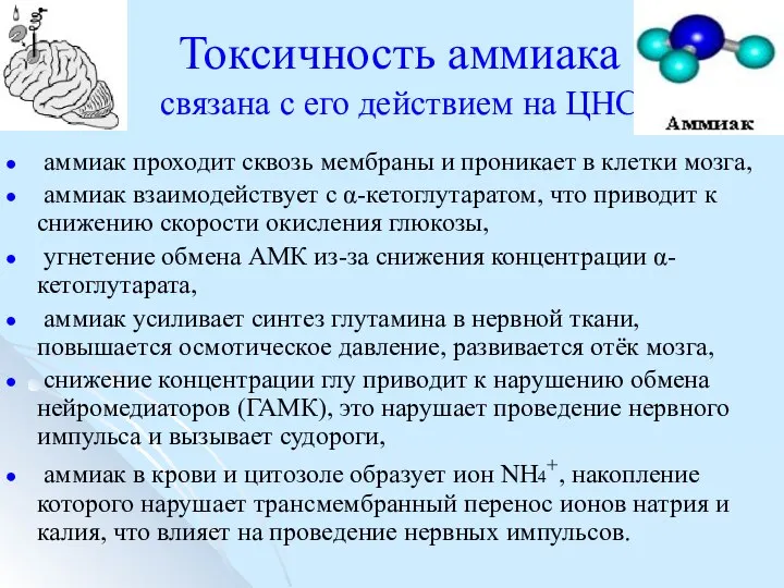 Токсичность аммиака связана с его действием на ЦНС аммиак проходит сквозь