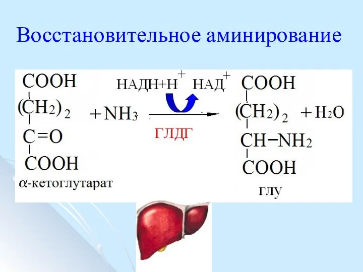 Восстановительное аминирование