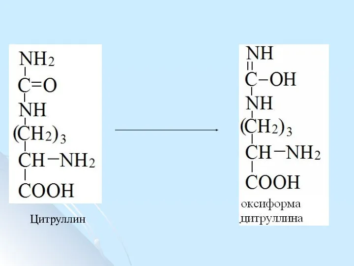 Цитруллин