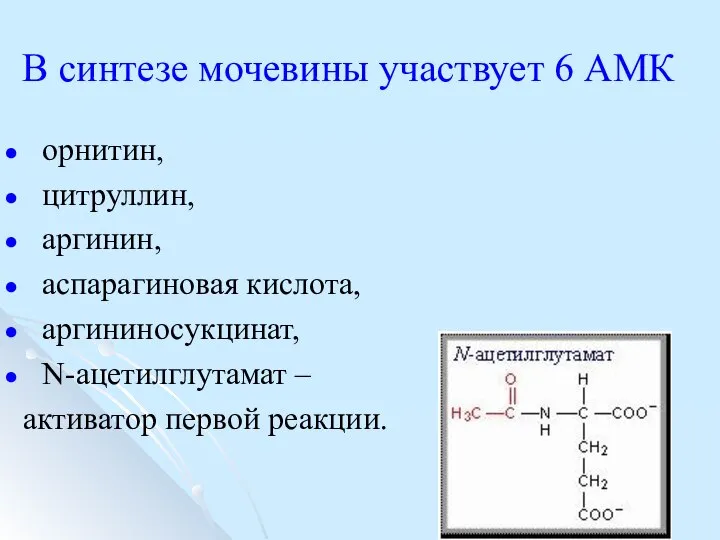 В синтезе мочевины участвует 6 АМК орнитин, цитруллин, аргинин, аспарагиновая кислота,