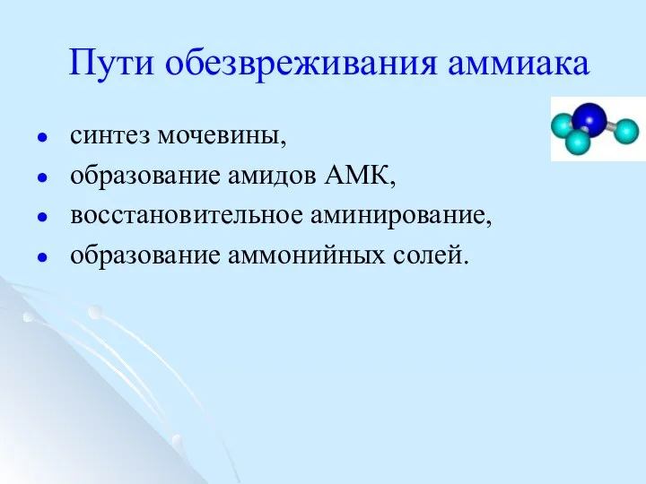 Пути обезвреживания аммиака синтез мочевины, образование амидов АМК, восстановительное аминирование, образование аммонийных солей.