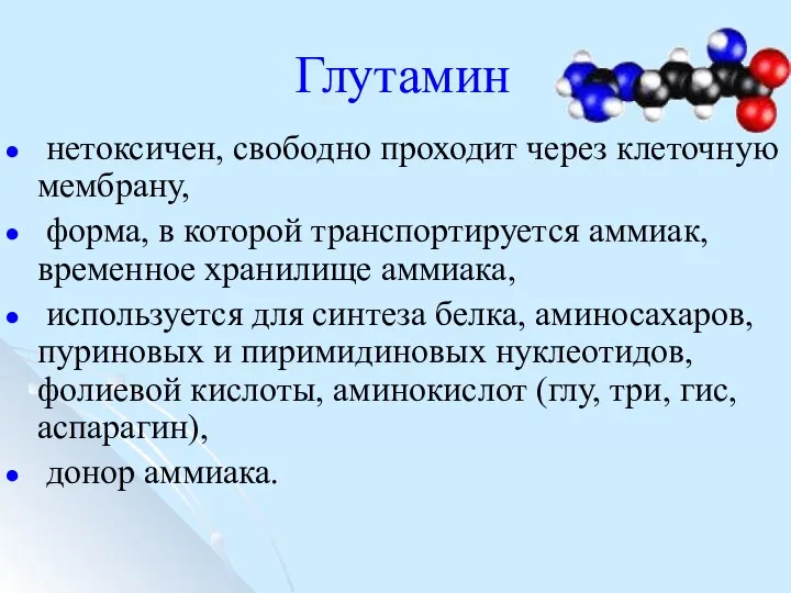 Глутамин нетоксичен, свободно проходит через клеточную мембрану, форма, в которой транспортируется