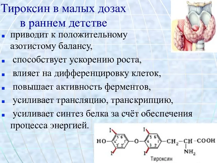 Тироксин в малых дозах в раннем детстве приводит к положительному азотистому