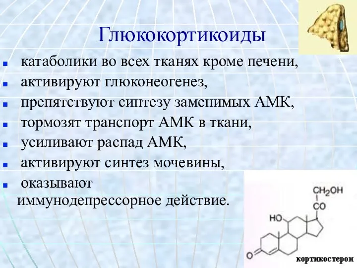 Глюкокортикоиды катаболики во всех тканях кроме печени, активируют глюконеогенез, препятствуют синтезу