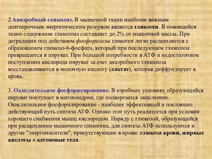 2 Анаэробный гликолиз. В мышечной ткани наиболее важным долгосрочным энергетическим резервом