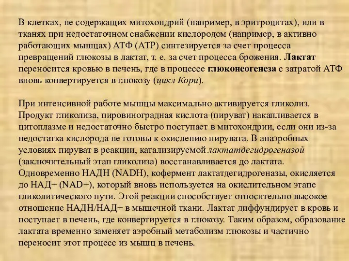 В клетках, не содержащих митохондрий (например, в эритроцитах), или в тканях