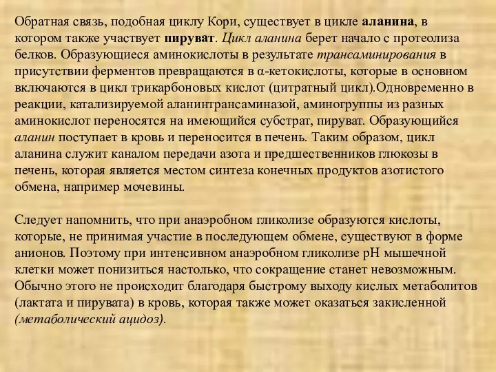 Обратная связь, подобная циклу Кори, существует в цикле аланина, в котором