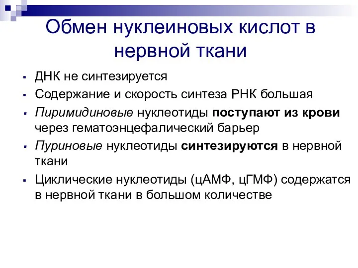 Обмен нуклеиновых кислот в нервной ткани ДНК не синтезируется Содержание и