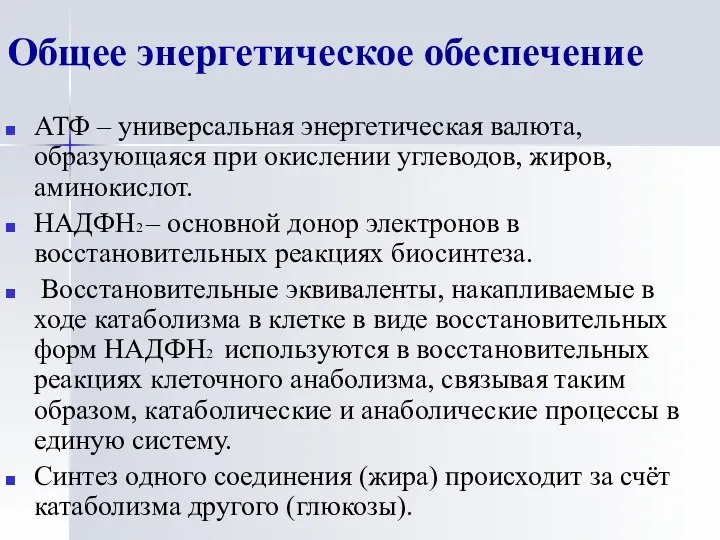 Общее энергетическое обеспечение АТФ – универсальная энергетическая валюта, образующаяся при окислении