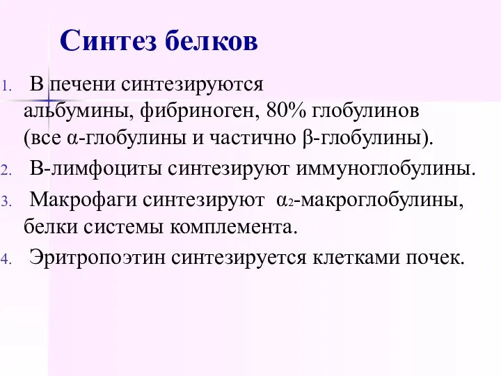 Синтез белков В печени синтезируются альбумины, фибриноген, 80% глобулинов (все α-глобулины