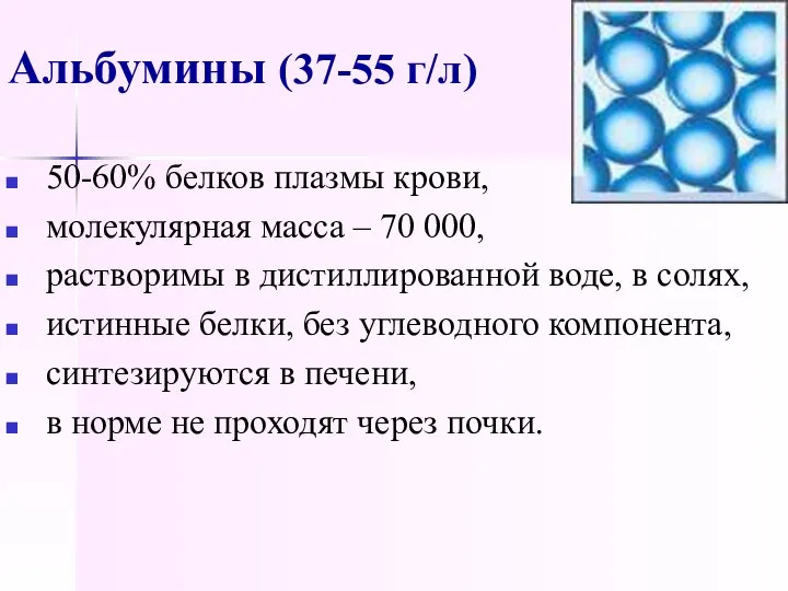 Альбумины (37-55 г/л) 50-60% белков плазмы крови, молекулярная масса – 70