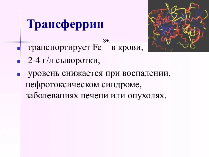 Трансферрин транспортирует Fe в крови, 2-4 г/л сыворотки, уровень снижается при