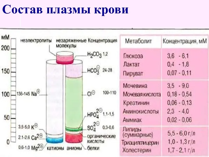 Состав плазмы крови