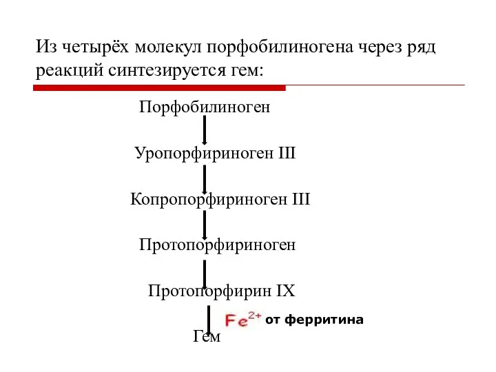 Из четырёх молекул порфобилиногена через ряд реакций синтезируется гем: Порфобилиноген Уропорфириноген