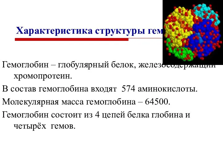 Характеристика структуры гемоглобина Гемоглобин – глобулярный белок, железосодержащий хромопротеин. В состав