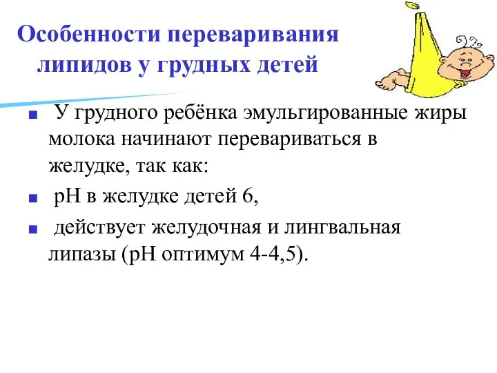 Особенности переваривания липидов у грудных детей У грудного ребёнка эмульгированные жиры