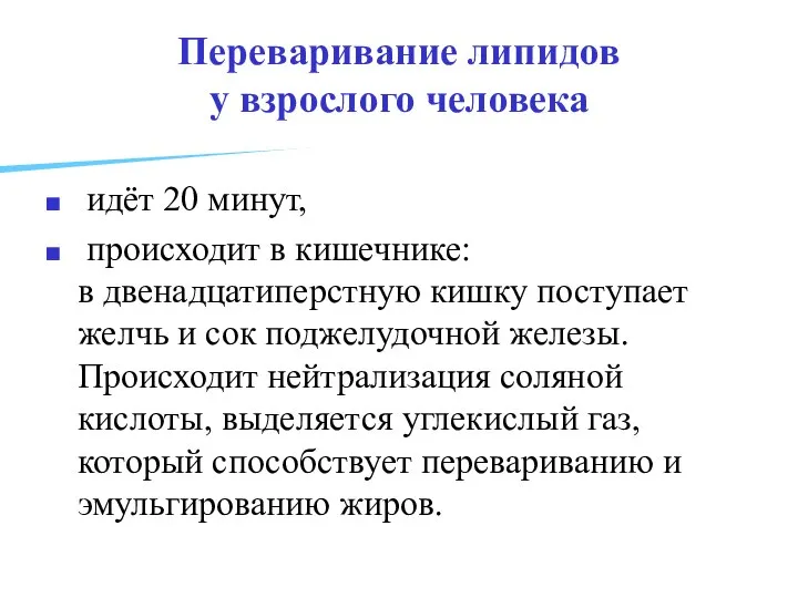 Переваривание липидов у взрослого человека идёт 20 минут, происходит в кишечнике: