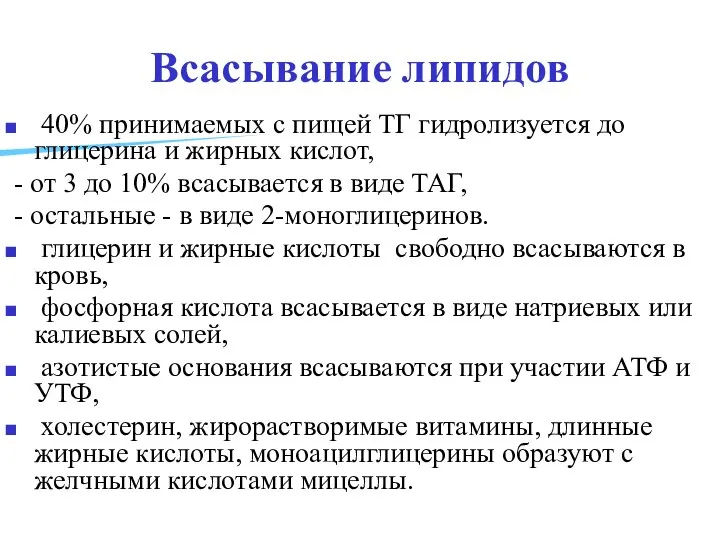 Всасывание липидов 40% принимаемых с пищей ТГ гидролизуется до глицерина и