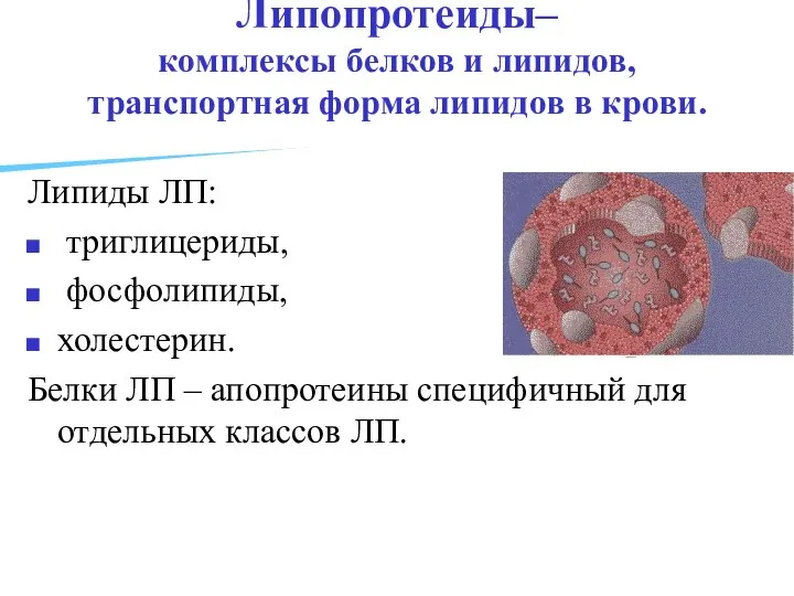 Липопротеиды– комплексы белков и липидов, транспортная форма липидов в крови. Липиды