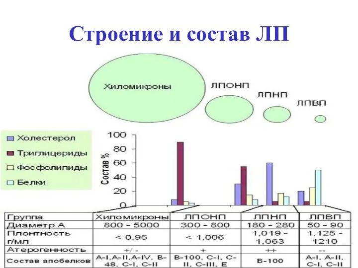 Строение и состав ЛП