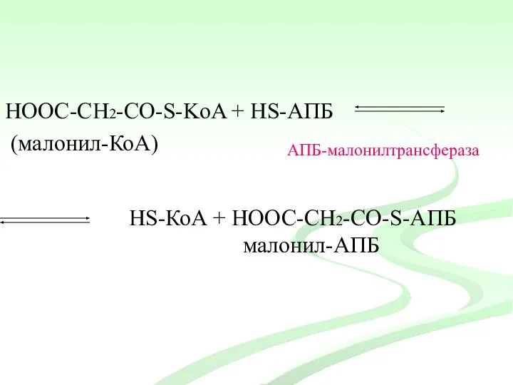 НООС-СН2-CО-S-KoA + HS-АПБ (малонил-КоА) АПБ-малонилтрансфераза HS-КоА + НООС-СН2-CО-S-АПБ малонил-АПБ