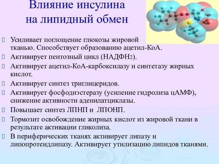 Влияние инсулина на липидный обмен Усиливает поглощение глюкозы жировой тканью. Способствует