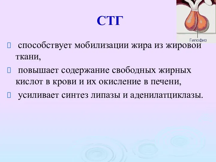 СТГ способствует мобилизации жира из жировой ткани, повышает содержание свободных жирных