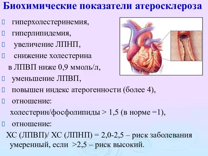 Биохимические показатели атеросклероза гиперхолестеринемия, гиперлипидемия, увеличение ЛПНП, снижение холестерина в ЛПВП