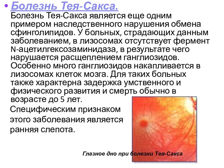 Болезнь Тея-Сакса. Болезнь Тея-Сакса является еще одним примером наследственного нарушения обмена